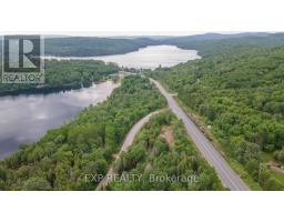 B Lot Arbor Vitae Road, Madawaska Valley, ON K0J1B0 Photo 16