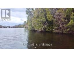 B Lot Arbor Vitae Road, Madawaska Valley, ON K0J1B0 Photo 17
