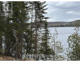 B Lot Arbor Vitae Road, Madawaska Valley, ON K0J1B0 Photo 18