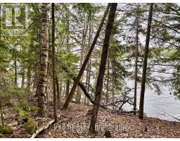 B Lot Arbor Vitae Road, Madawaska Valley, ON K0J1B0 Photo 20