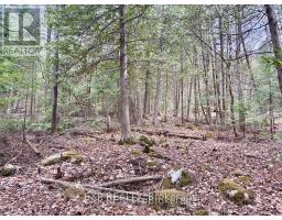 B Lot Arbor Vitae Road, Madawaska Valley, ON K0J1B0 Photo 21
