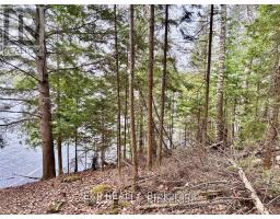 B Lot Arbor Vitae Road, Madawaska Valley, ON K0J1B0 Photo 22