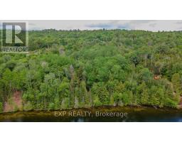 B Lot Arbor Vitae Road, Madawaska Valley, ON K0J1B0 Photo 6