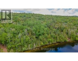 B Lot Arbor Vitae Road, Madawaska Valley, ON K0J1B0 Photo 8