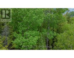B Lot Arbor Vitae Road, Madawaska Valley, ON K0J1B0 Photo 9