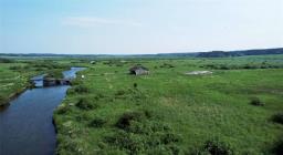 0 262 Highway, Onanole, MB R0J1N0 Photo 11