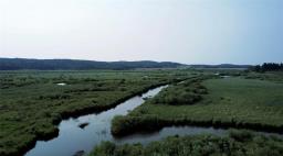 0 262 Highway, Onanole, MB R0J1N0 Photo 13