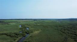 0 262 Highway, Onanole, MB R0J1N0 Photo 15