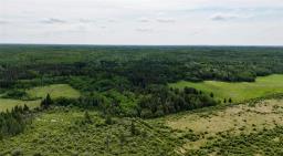 0 262 Highway, Onanole, MB R0J1N0 Photo 21