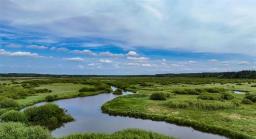 0 262 Highway, Onanole, MB R0J1N0 Photo 24