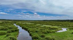 0 262 Highway, Onanole, MB R0J1N0 Photo 25
