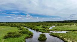 0 262 Highway, Onanole, MB R0J1N0 Photo 26