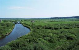 0 262 Highway, Onanole, MB R0J1N0 Photo 10