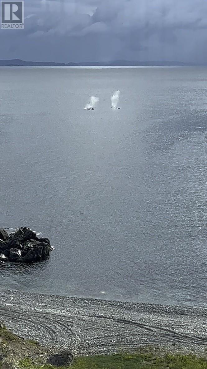 1 Gallows Cove - 6