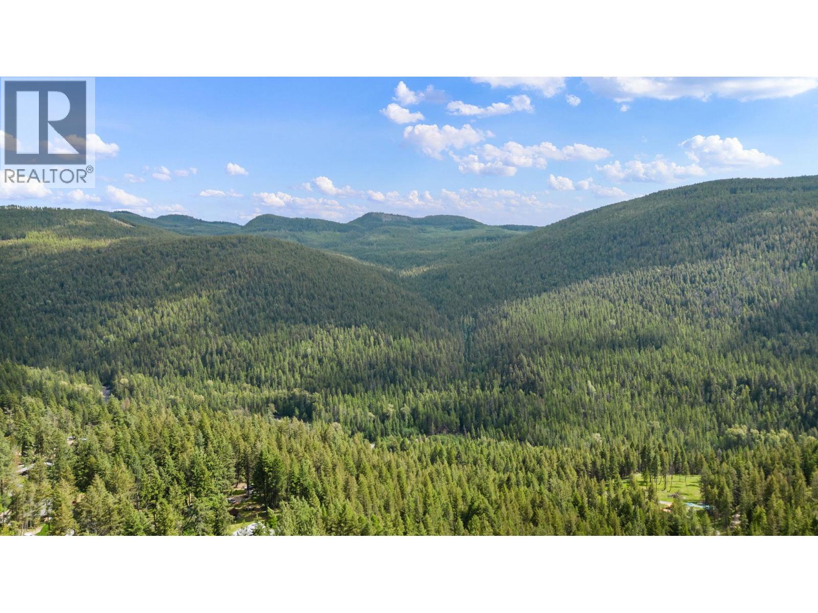 1822 Cardinal Creek Road - 51