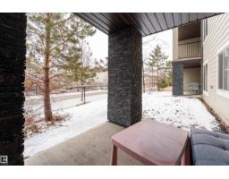 #117 3207 James Mowatt Tr Sw, Edmonton, AB T6W3L6 Photo 20
