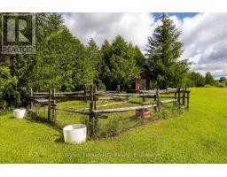 775355 Highway 10, Grey Highlands, ON N0C1H0 Photo 26