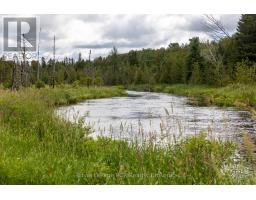 775355 Highway 10, Grey Highlands, ON N0C1H0 Photo 27