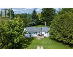 775355 Highway 10, Grey Highlands, ON N0C1H0 Photo 30