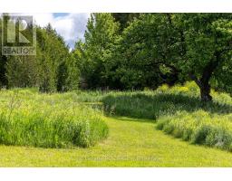 775355 Highway 10, Grey Highlands, ON N0C1H0 Photo 36
