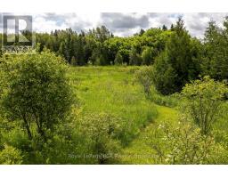 775355 Highway 10, Grey Highlands, ON N0C1H0 Photo 37