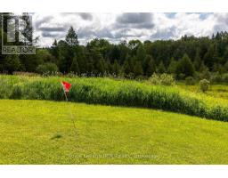 775355 Highway 10, Grey Highlands, ON N0C1H0 Photo 39