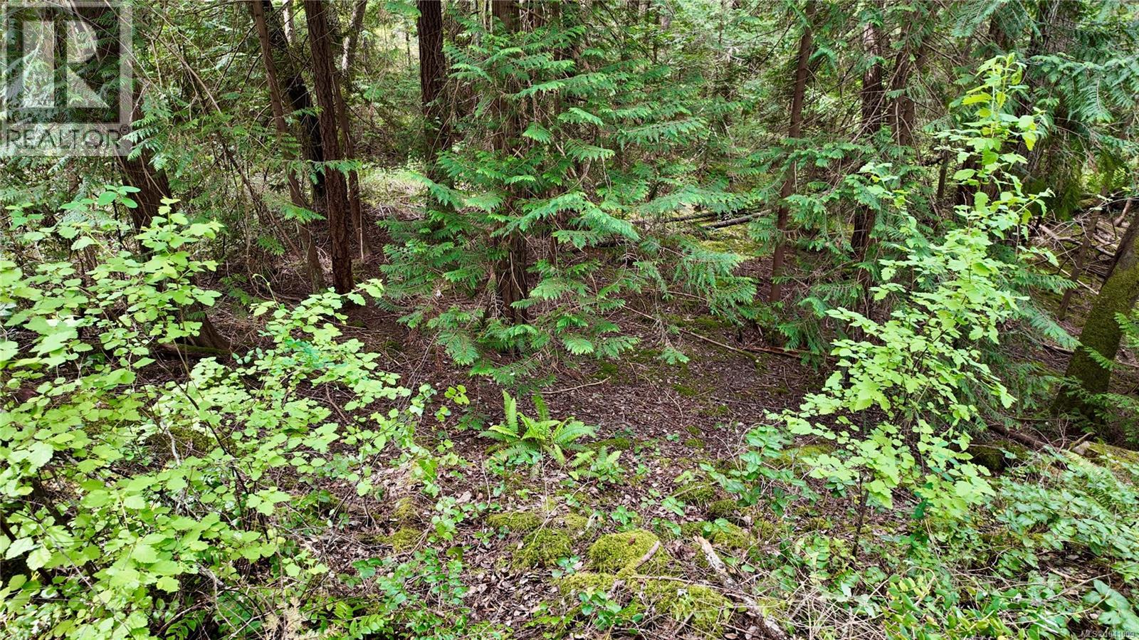 Lot 33 Ruxton Island - 18