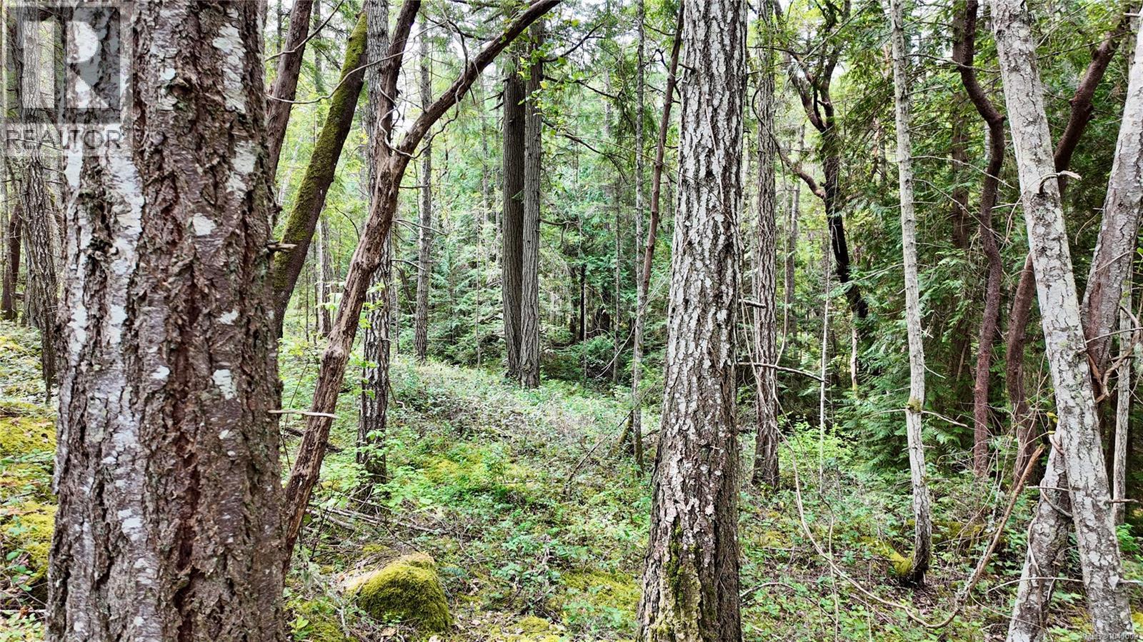 Lot 33 Ruxton Island - 13
