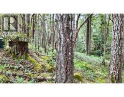 Lot 33 Ruxton Island, Ruxton Island, BC V0R1X7 Photo 23