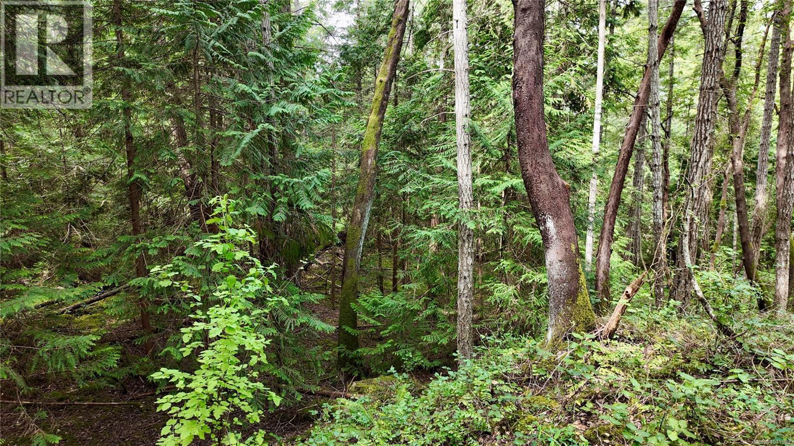 Lot 33 Ruxton Island - 31