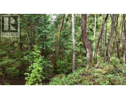 Lot 33 Ruxton Island, Ruxton Island, BC V0R1X7 Photo 31
