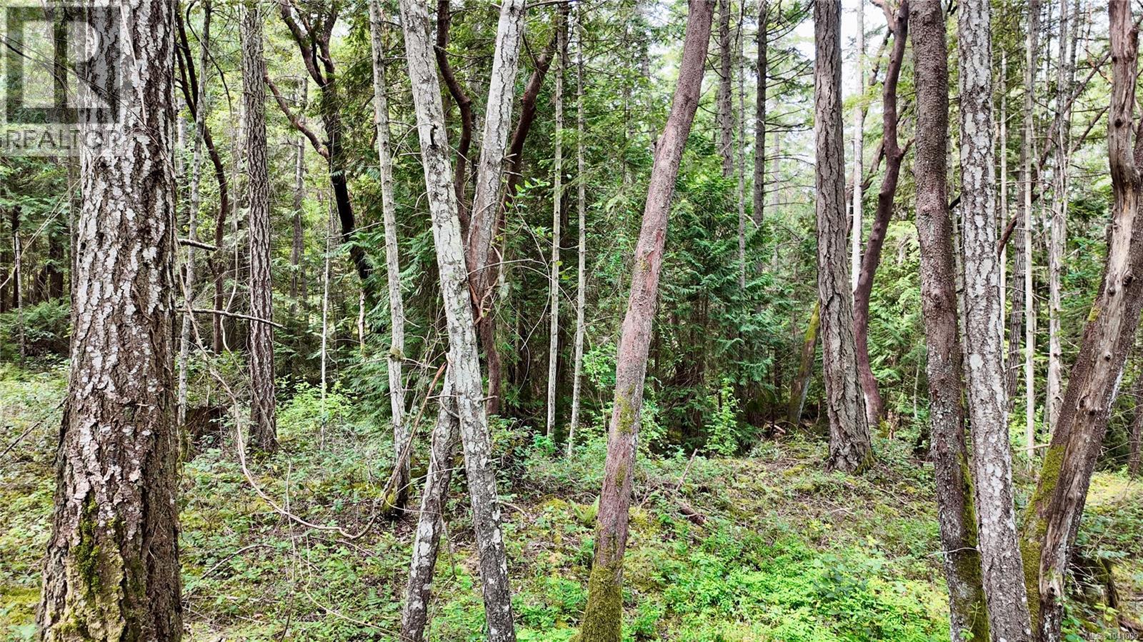 Lot 33 Ruxton Island - Image 65