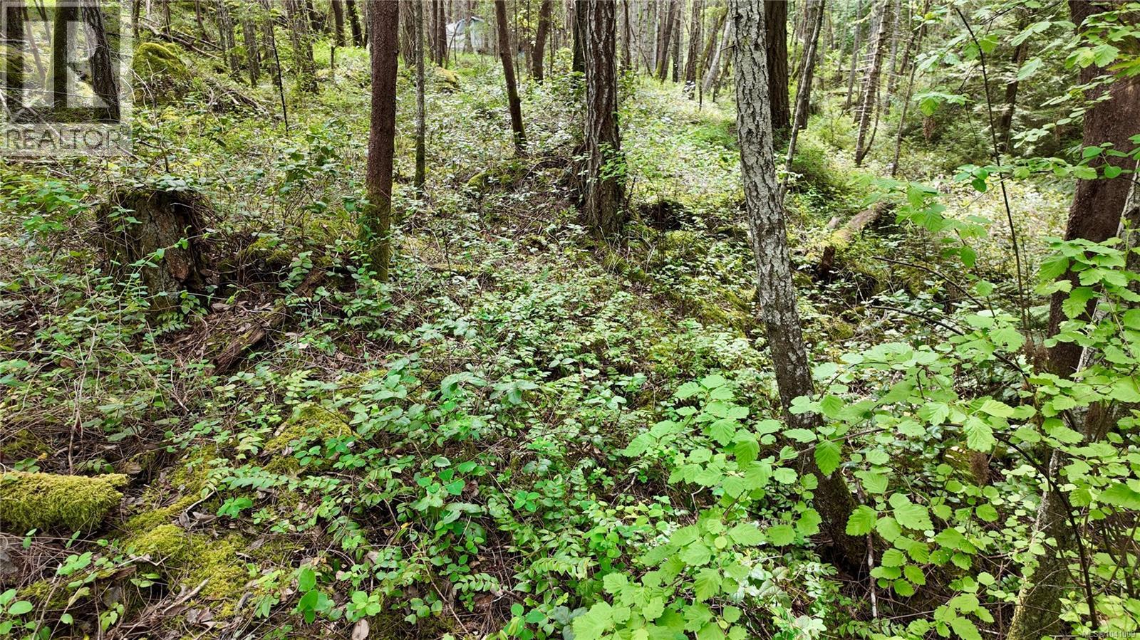 Lot 33 Ruxton Island - 64