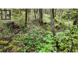 Lot 33 Ruxton Island, Ruxton Island, BC V0R1X7 Photo 64