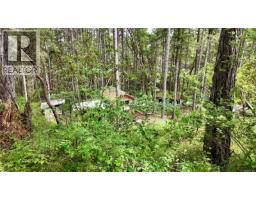 Lot 33 Ruxton Island, Ruxton Island, BC V0R1X7 Photo 66