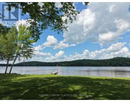 107 Maika Road, Madawaska Valley, ON K0J1L0 Photo 31
