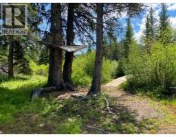 5302 19 Avenue, Coleman, AB T0K0E0 Photo 46