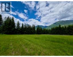 Mckinnon Road Lot# C, Procter, BC V0G1V0 Photo 16
