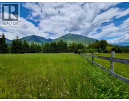 Mckinnon Road Lot# C, Procter, BC V0G1V0 Photo 17