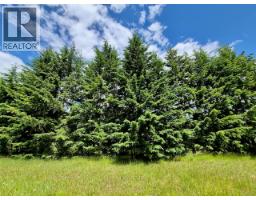 Mckinnon Road Lot# C, Procter, BC V0G1V0 Photo 21