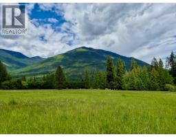 Mckinnon Road Lot# C, Procter, BC V0G1V0 Photo 28