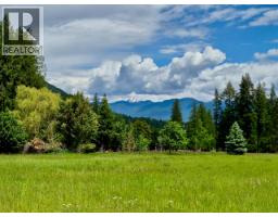 Mckinnon Road Lot# C, Procter, BC V0G1V0 Photo 39