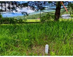 Mckinnon Road Lot# C, Procter, BC V0G1V0 Photo 11