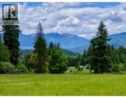 Mckinnon Road Lot# C, Procter, BC V0G1V0 Photo 31