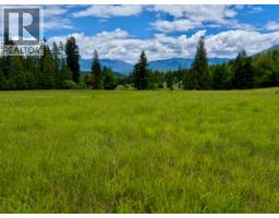 Mckinnon Road Lot# C, Procter, BC V0G1V0 Photo 30