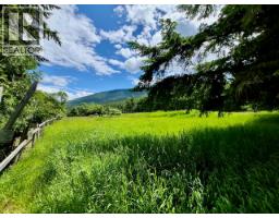 Mckinnon Road Lot# C, Procter, BC V0G1V0 Photo 45