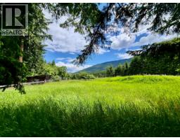 Mckinnon Road Lot# C, Procter, BC V0G1V0 Photo 13