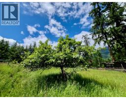 Mckinnon Road Lot# C, Procter, BC V0G1V0 Photo 24