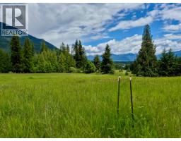 Mckinnon Road Lot# C, Procter, BC V0G1V0 Photo 29