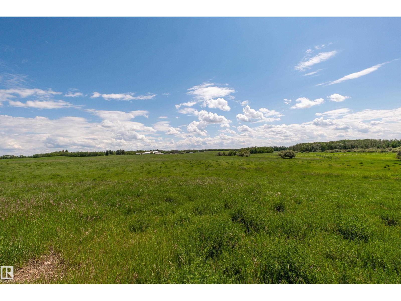 TWP 502 RRD 230-225 — photo 47